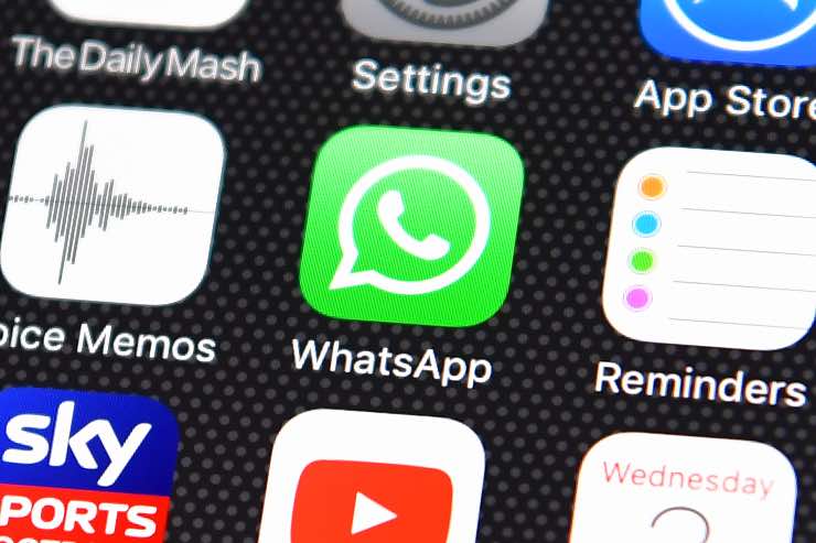 WhatsApp Stanza videochiamate persone