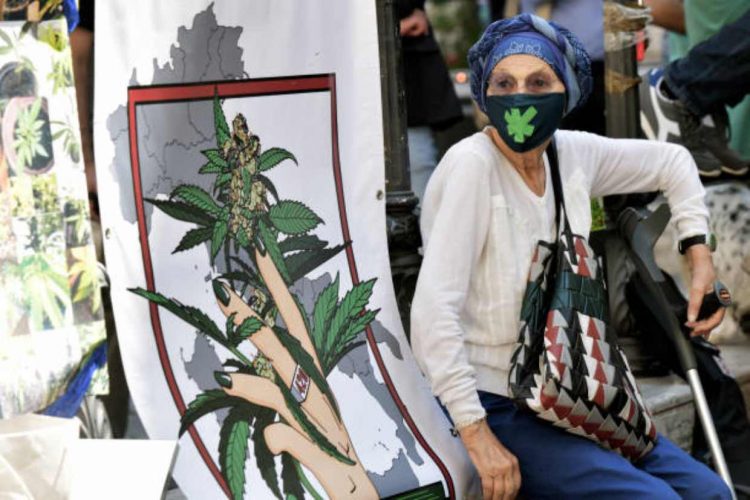 Cannabis sul terrazzo di Emma Bonino: la parlamentare partecipa a "Io Coltivo"