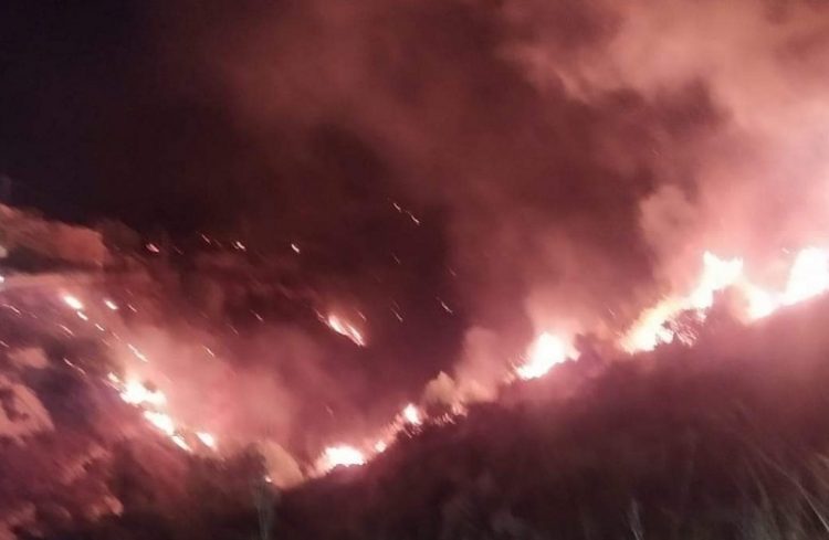 Incendio Palermo (foto dal web)