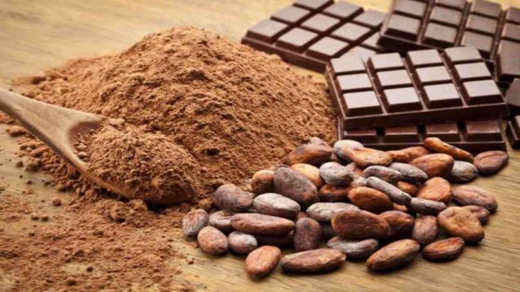 Cacao crudo (foto iStock)
