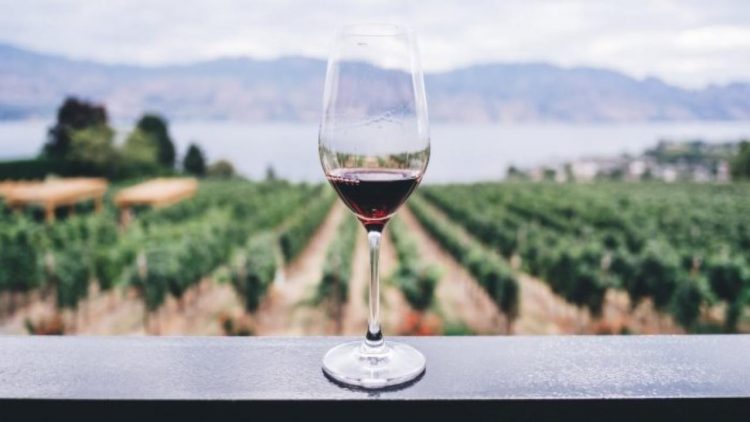Migliori vini rossi e bianchi italiani (foto dal web)