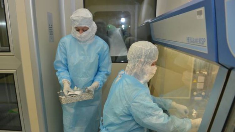 Coronavirus Italia epidemia Wuhan Cina