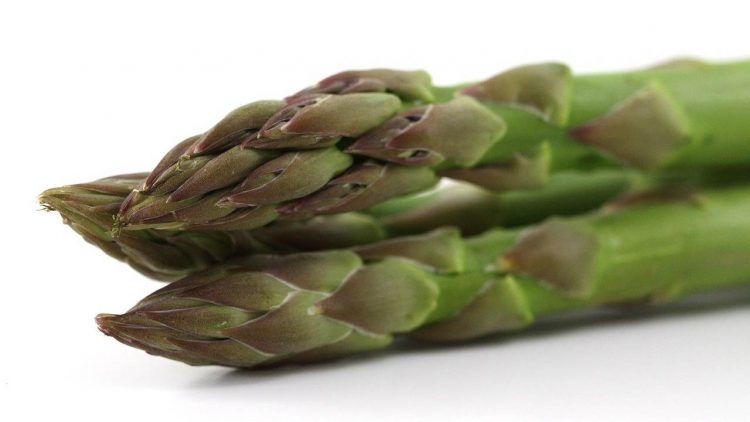 asparagi 