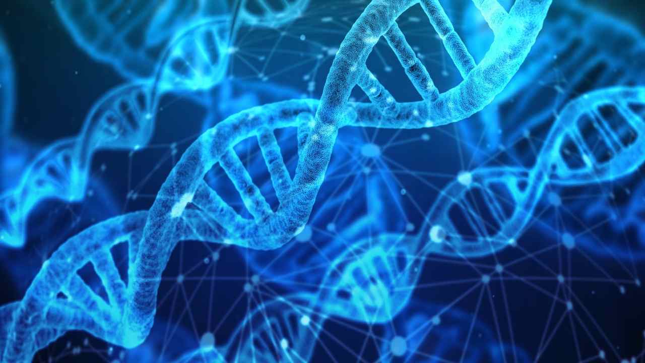 dna 