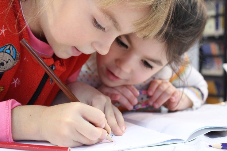 La scuola a distanza: guida all'uso