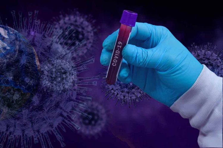 Virus I test del vaccino sull'uomo stanno per partire