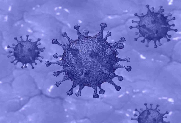 nuovo coronavirus