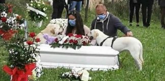 Funerale Greta