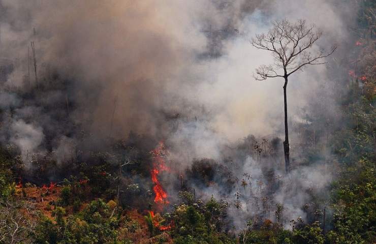 Incendio Foresta Amazzonica