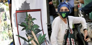 Cannabis sul terrazzo di Emma Bonino: la parlamentare partecipa a "Io Coltivo"