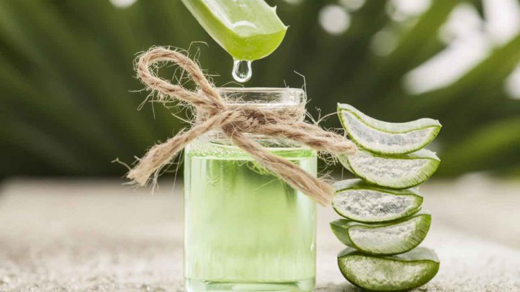 Aloe vera usi inconsueti e controindicazioni