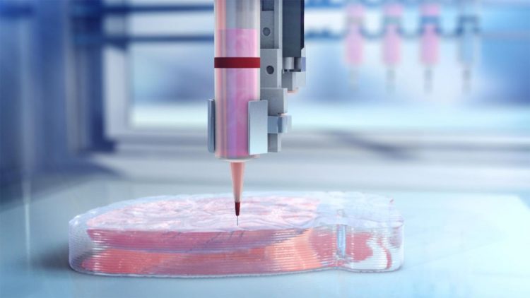 Bioprinting (foto dal web)