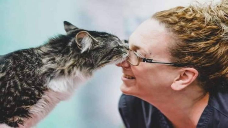 Baciare il gatto (foto dal web)
