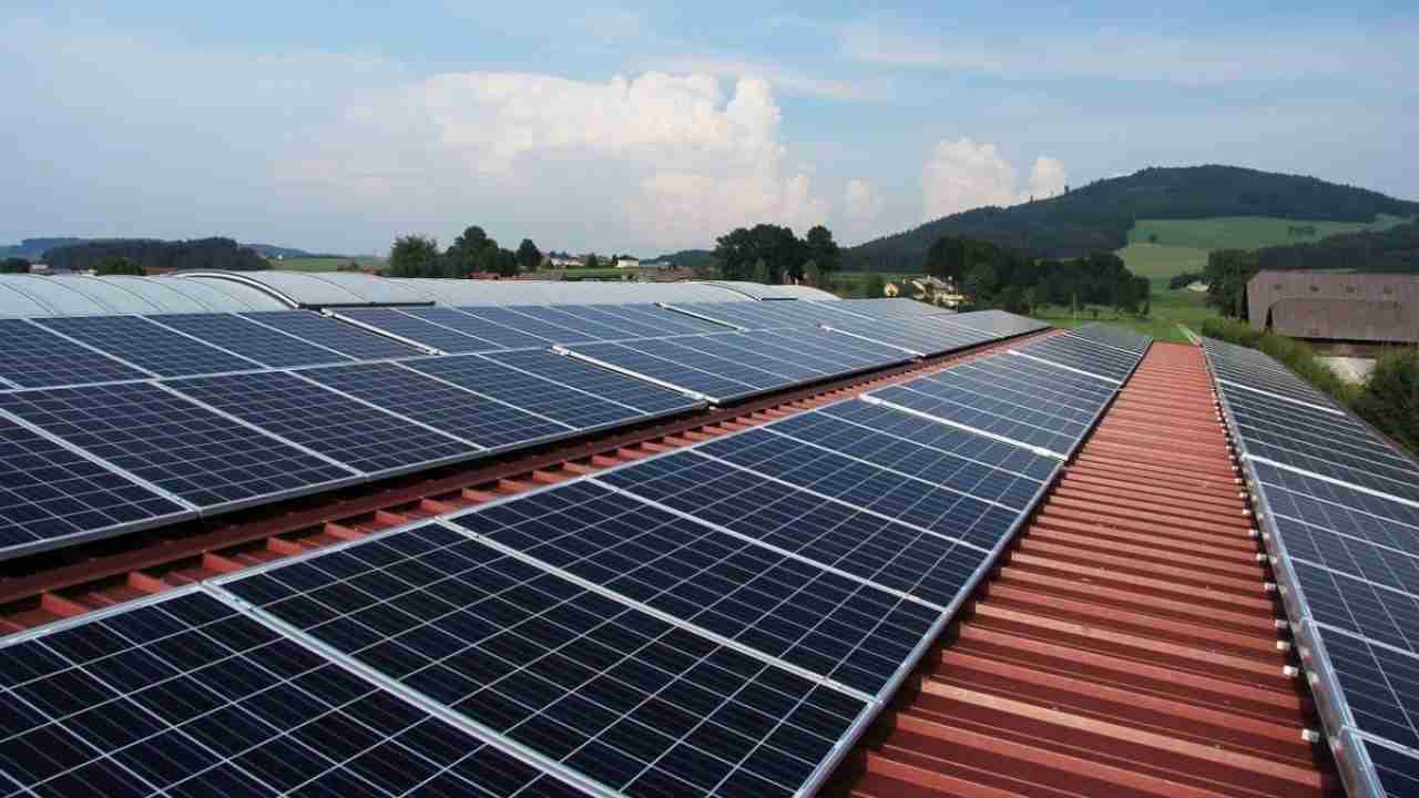 Pannelli fotovoltaici (foto dal web)