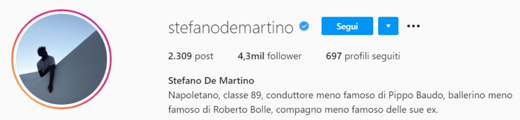 Stefano De Martino (screen bio Instagram)