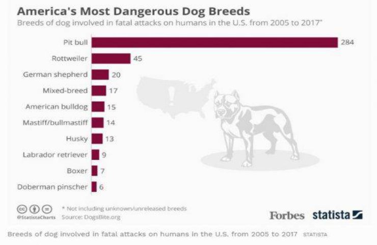 Forbes ha stilato una lista delle razze più aggressive di cani