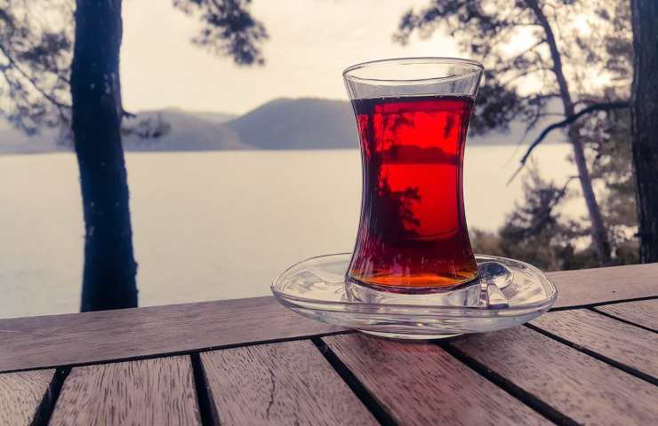 Rooibos, proprietà e benefici del tè rosso detox durante le feste
