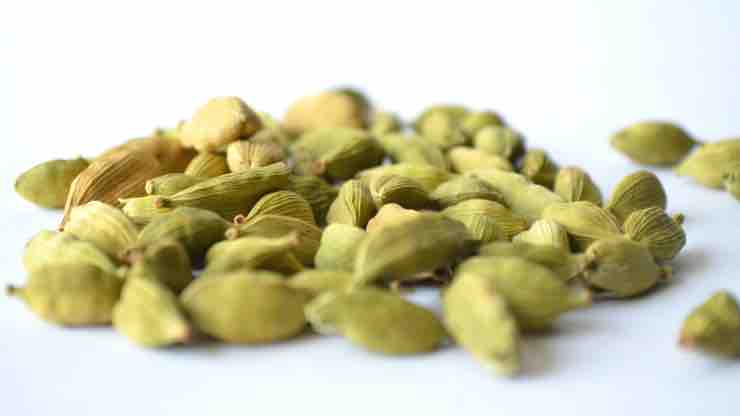 cardamomo