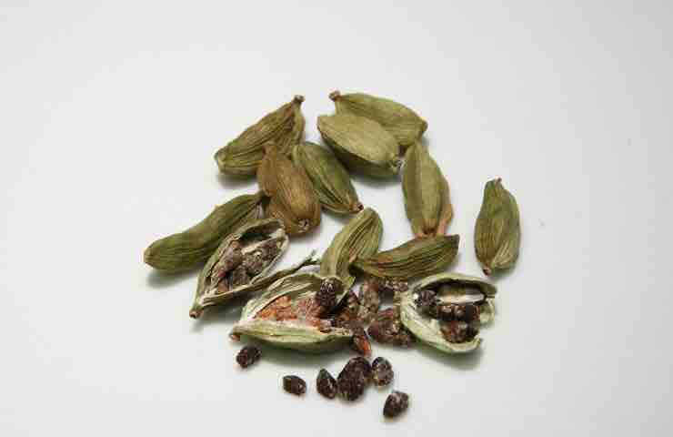 cardamomo