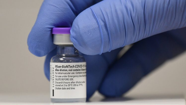 Vaccino, Pfizer assicura le dosi all'Italia