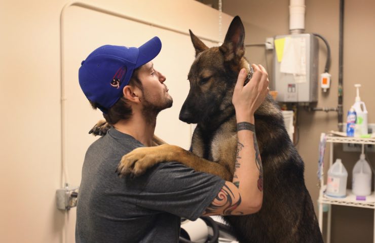 Cane tre malattie psicologiche