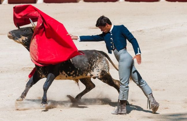 Perchè I Tori Odiano Il Rosso