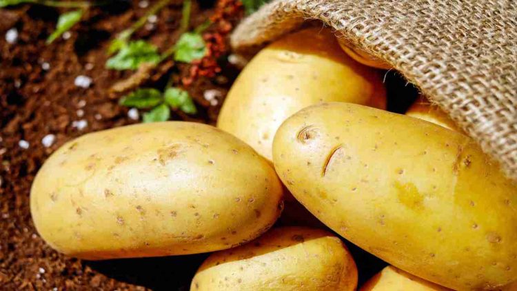 creare maschera con bucce di patate
