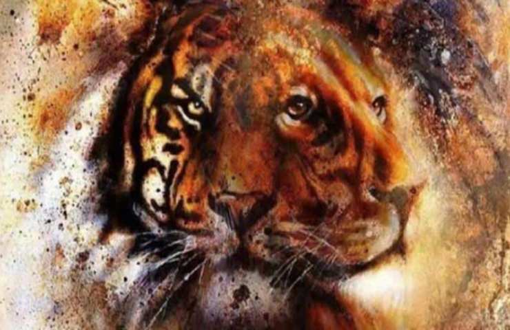 Test di personalità, vedi prima la tigre o il leone?