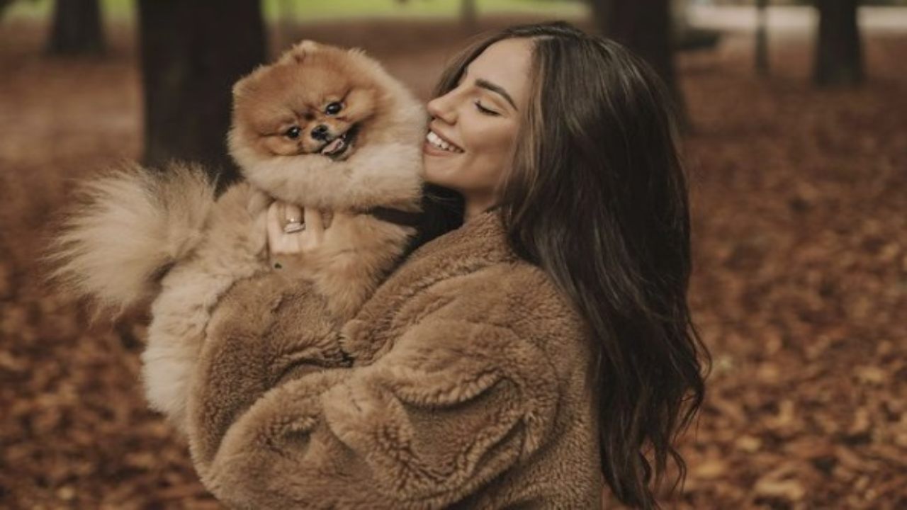 Cani Vip Conoscete Il Cane Di Giulia De Lellis Tutto Su Tommy