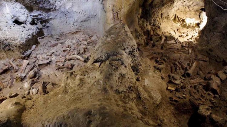 scoperta resti uomini Neanderthal