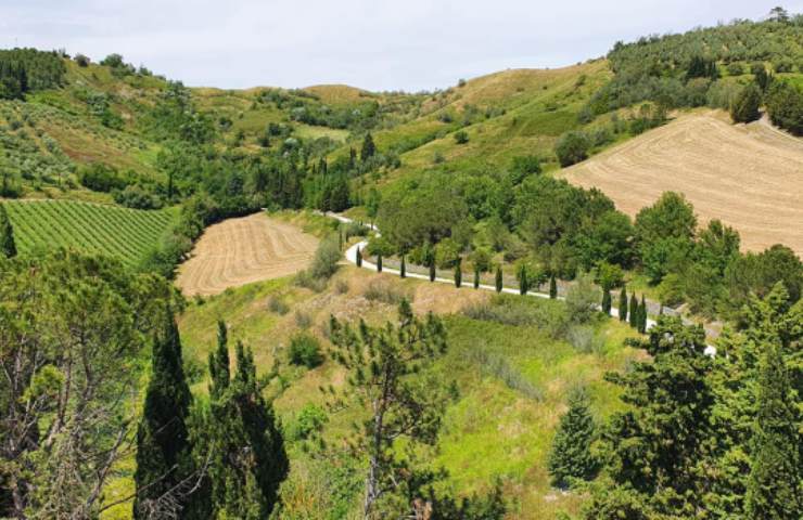 Campagna Brasighella