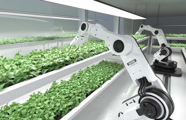 Robot Agricoli