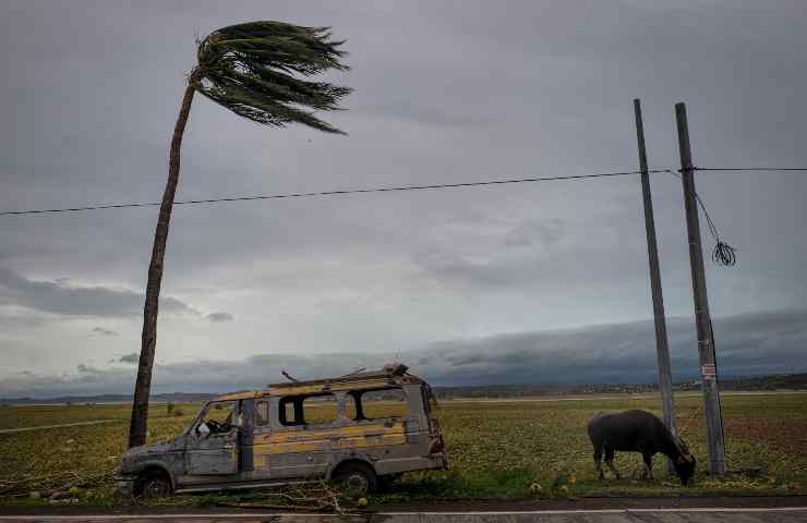 Tifone Rai colpisce le Filippine: 33 decessi contati finora