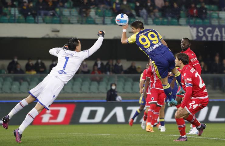 Verona Sampdoria serie a