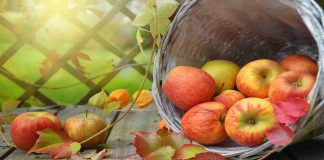Benessere a tavola: tutte le proprietà benefiche della mela