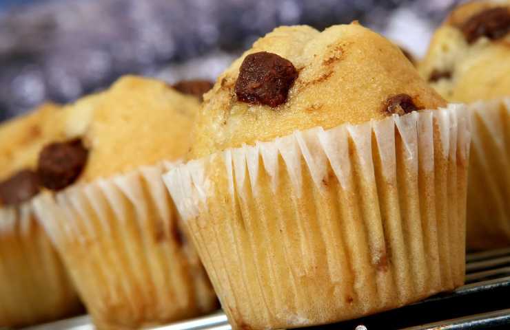 ricetta muffin gocce di cioccolato
