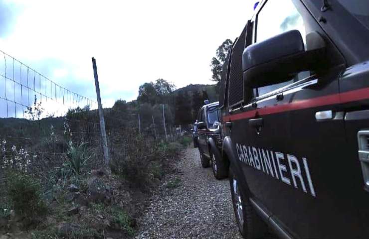 Sud Sardegna allevatore ucciso fermate due persone