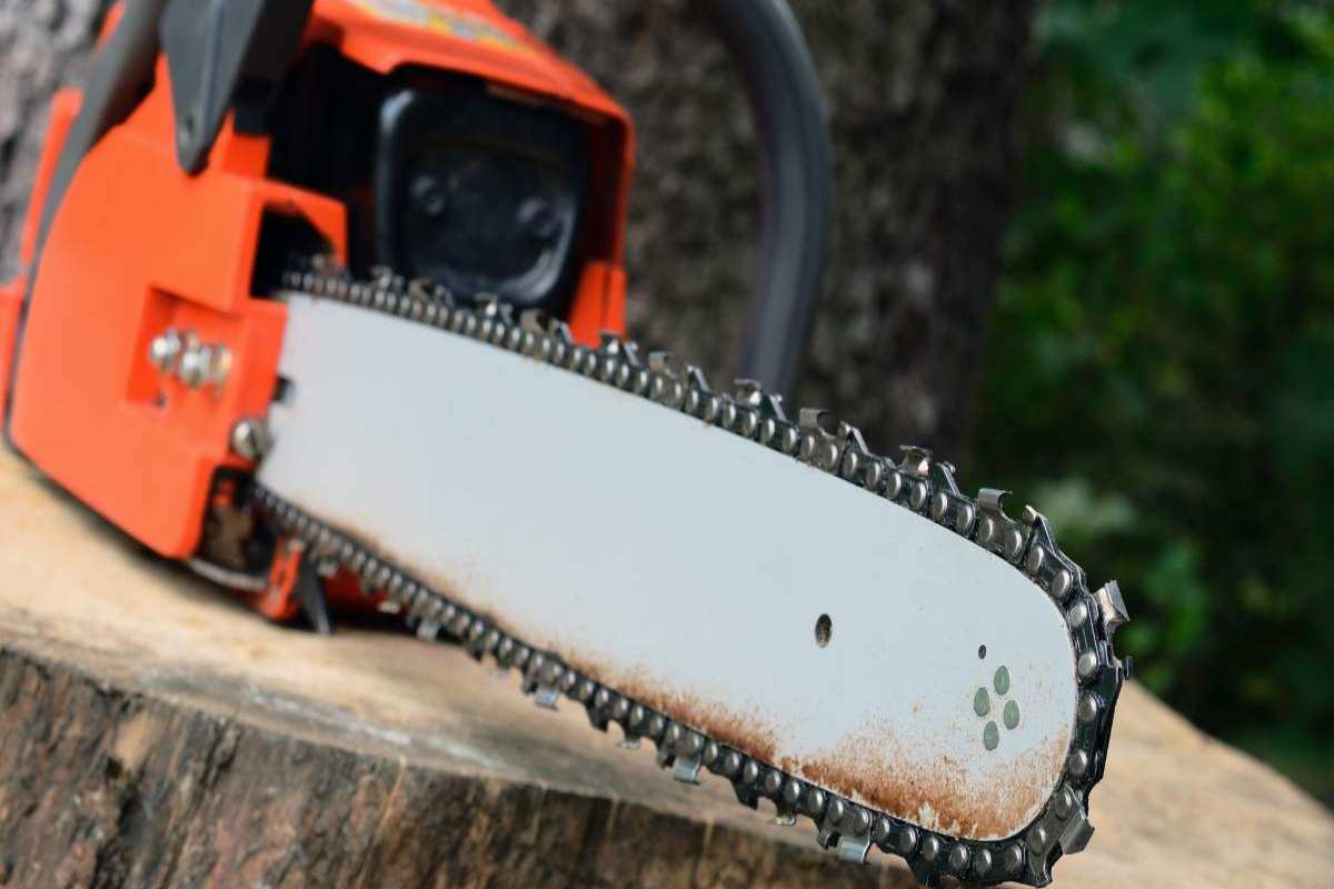 Imbersago colpita motosega morta donna