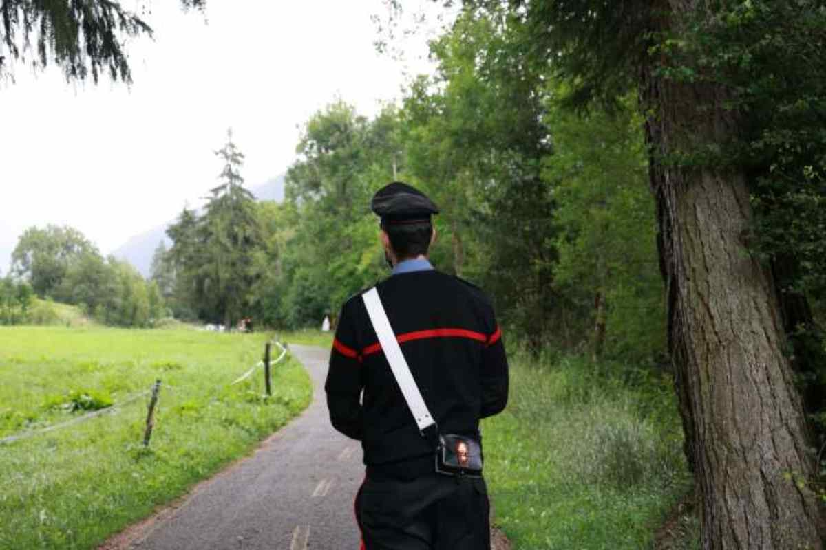 Imponzo di Tolmezzo donna scomparsa morta bosco