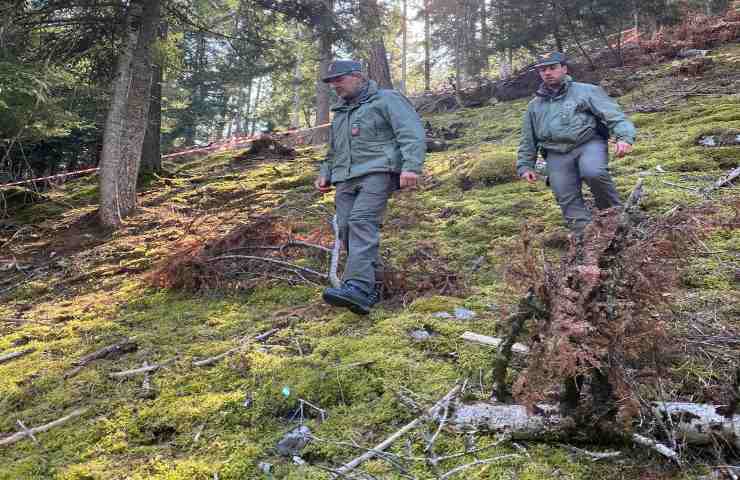 Caldes Andrea Papi trovato morto bosco orso