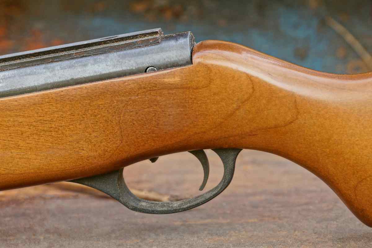 Forlimpopoli colpo fucile morto ragazzo 31 anni